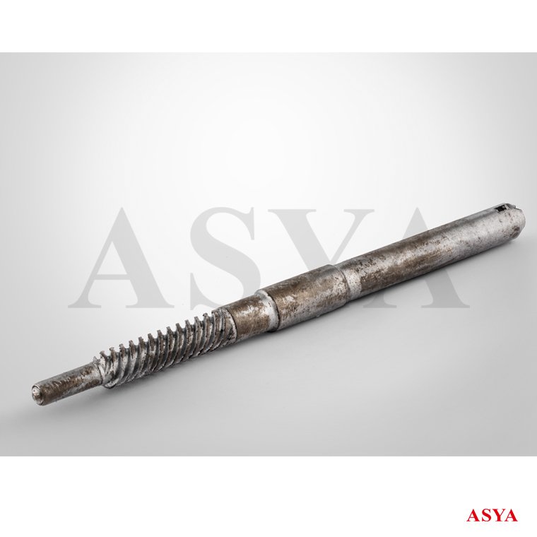 DİREK MİLİ ASYA