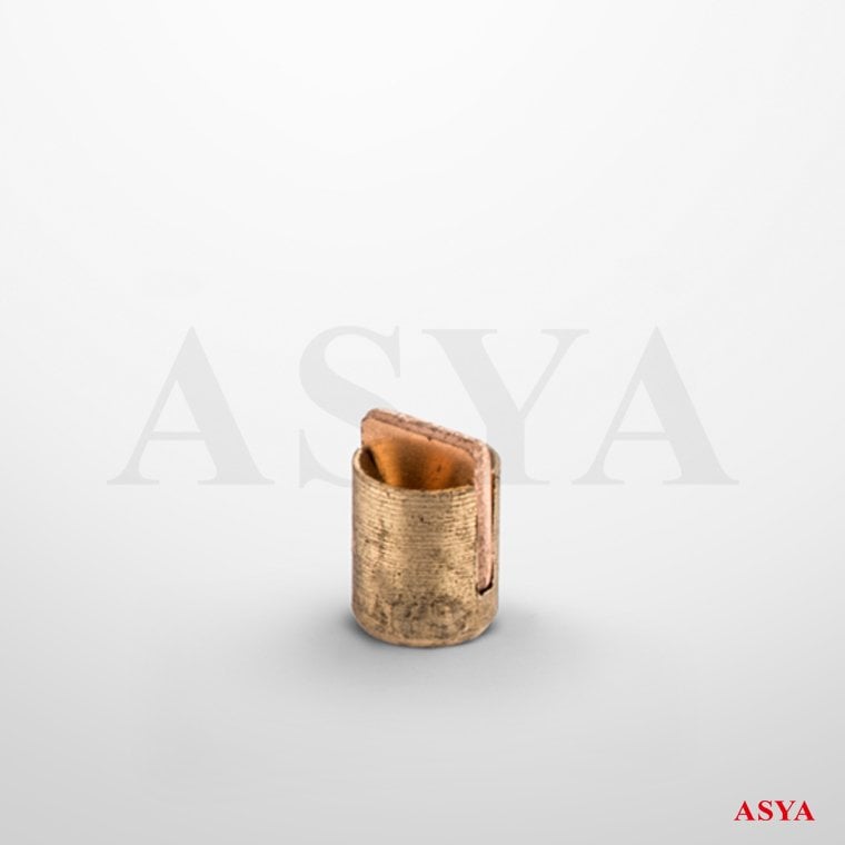 TOP ÇEKİRDEĞİ ASYA