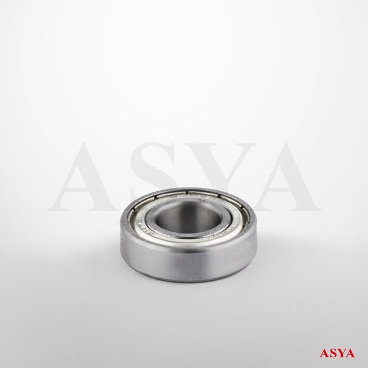 RULMAN (BÜYÜK) ASYA