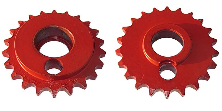 KÜÇÜK YABA DİŞLİSİ-9130