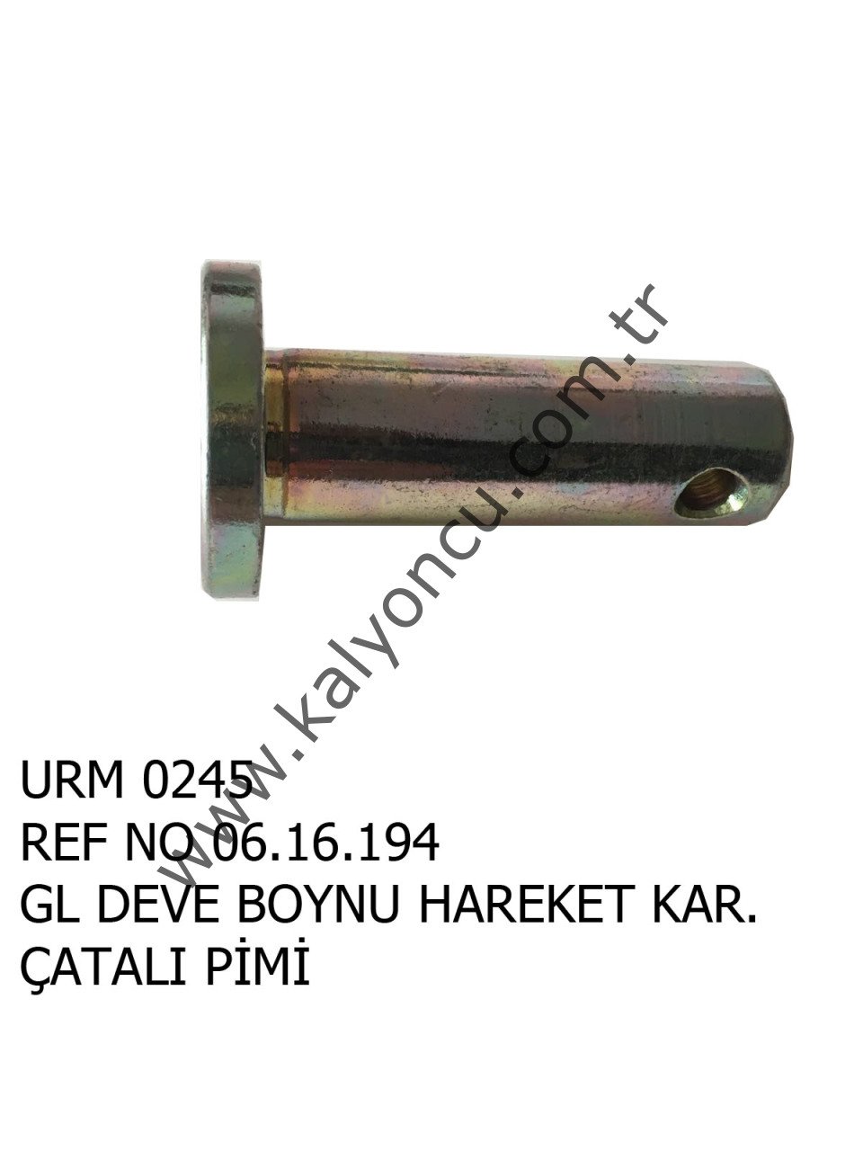 L Çatal Pimi Ür.No:0245
