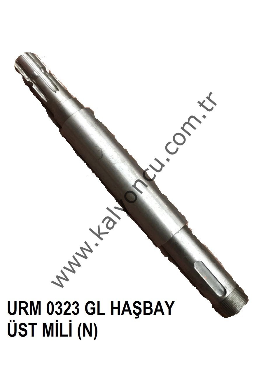 L Haşbay Üst Mili (n) Ür.No:0323