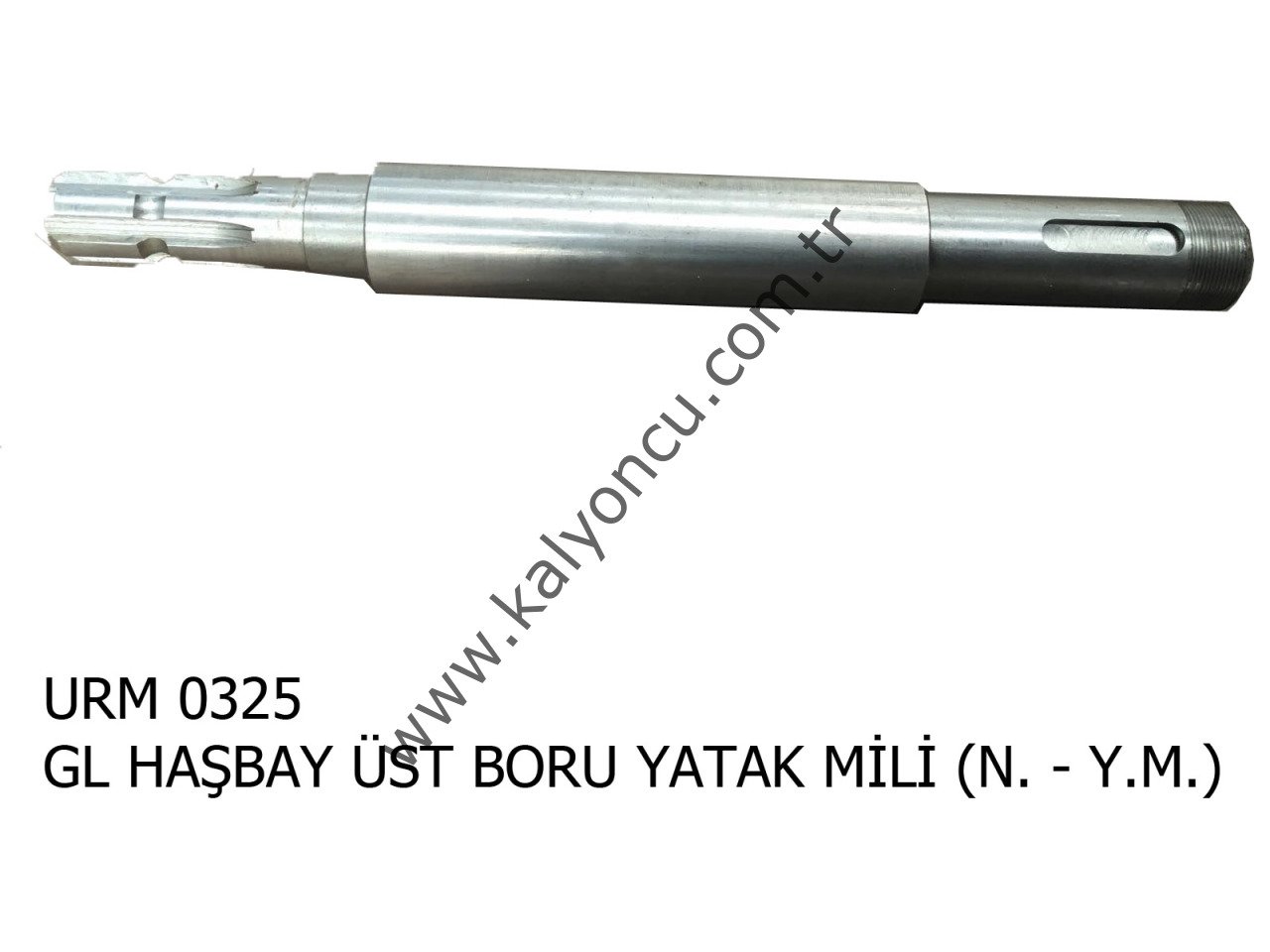 L Haşbay Üst Mili (y.m.) (n.) Ür.No:0325
