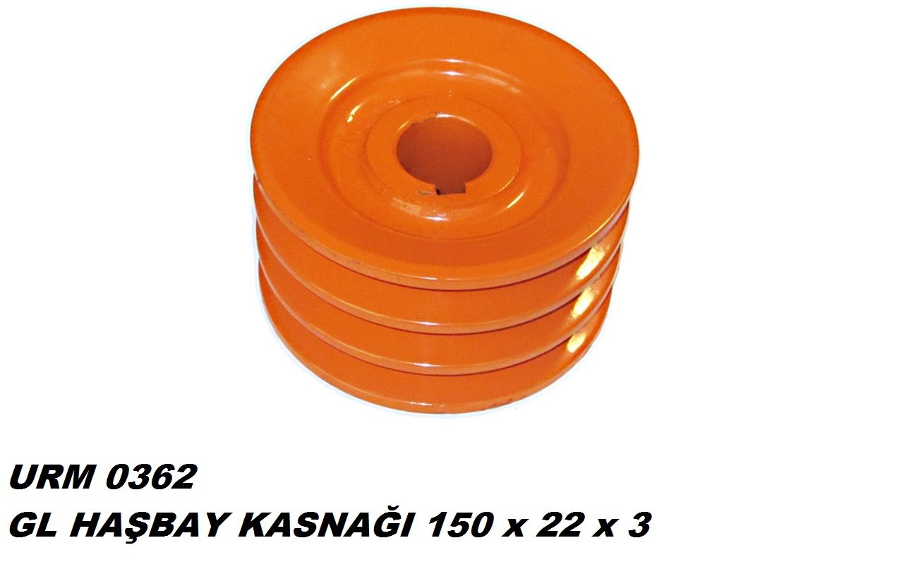 HAŞBAY KASNAĞI 150x22x3 *5190*