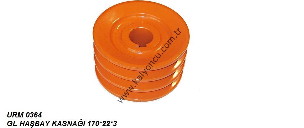HAŞBAY KASNAĞI 170x22x3 *5190*