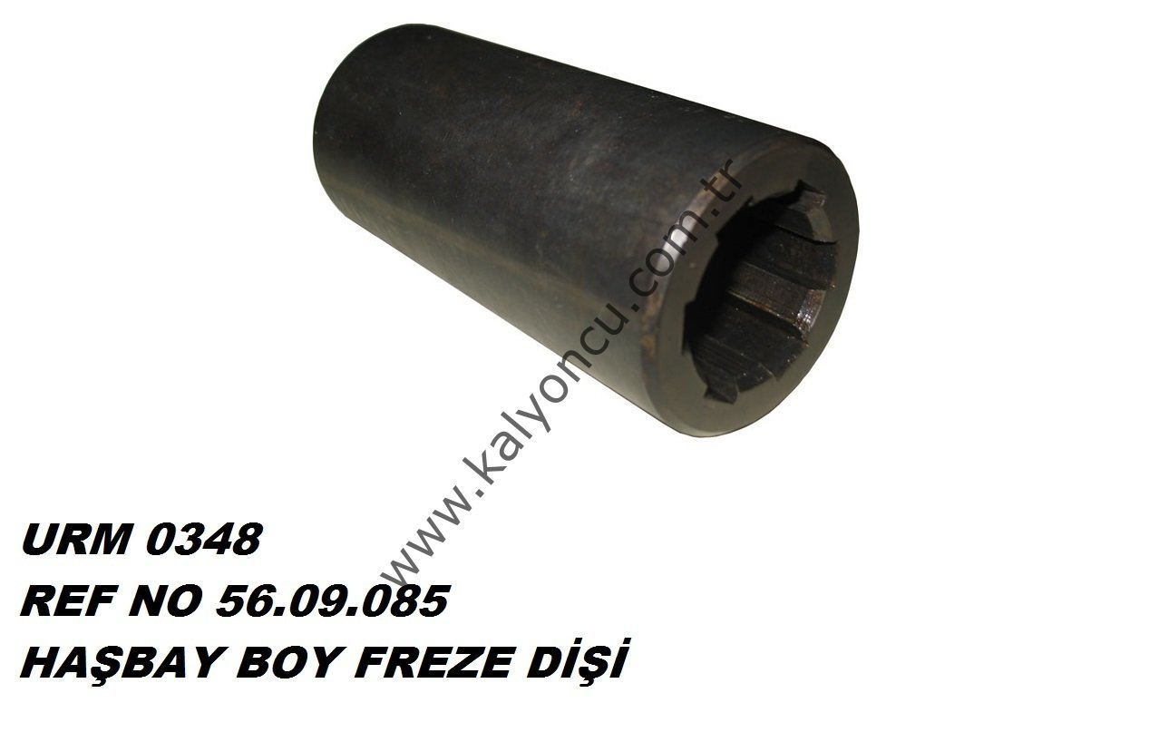 L Haşbay Boy Freze Dişi Ür.No:0348