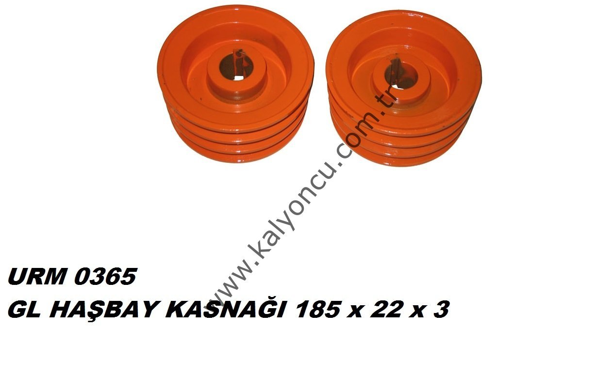 HAŞBAY KASNAĞI 185x22x3 *5190*