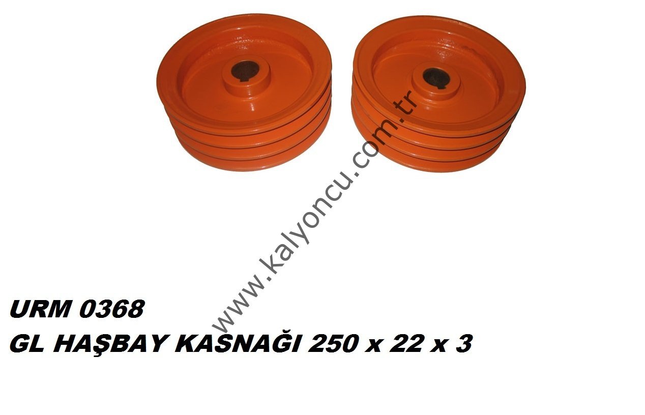 HAŞBAY KASNAĞI 250x22x3 *5190*