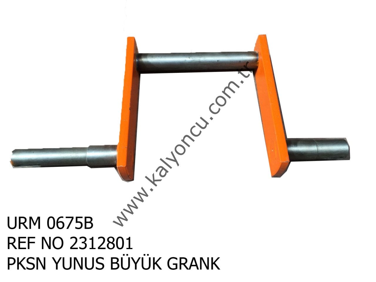 BÜYÜK KRANK YUNUS *PAKSAN*